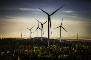 Wind power plants in the forests