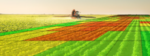 Nitrogen recommendations through scanners
