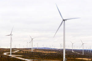 Wind power plants and grey sky in Skellefteå, Sweden