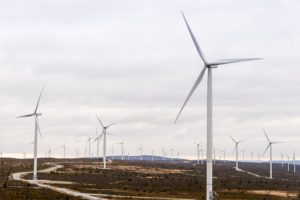Wind power plants and grey sky in Skellefteå, Sweden