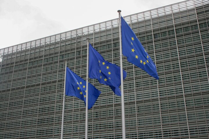 EU flags