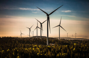 Wind turbines surrounded by trees